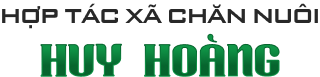 HỢP TÁC XÃ CHĂN NUÔI HUY HOÀNG