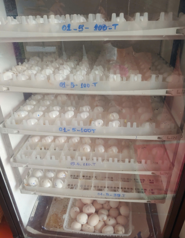 NHÀ MÁY SẢN XUẤT