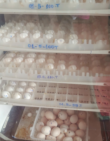 NHÀ MÁY SẢN XUẤT