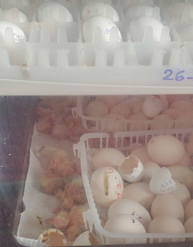 NHÀ MÁY SẢN XUẤT