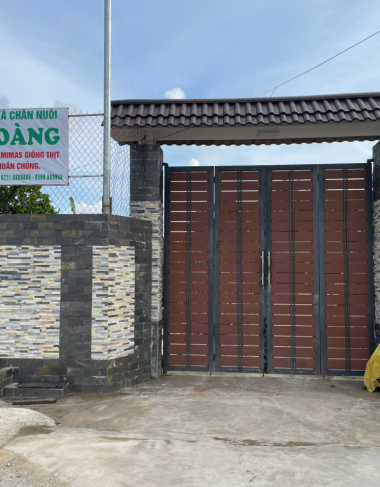 HÌNH ẢNH CÔNG TY