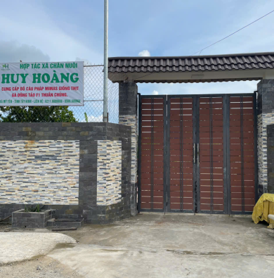 NHÀ VƯỜN NUÔI BỒ CÂU THỊT VÀ BỒ CÂU GIỐNG LONG AN